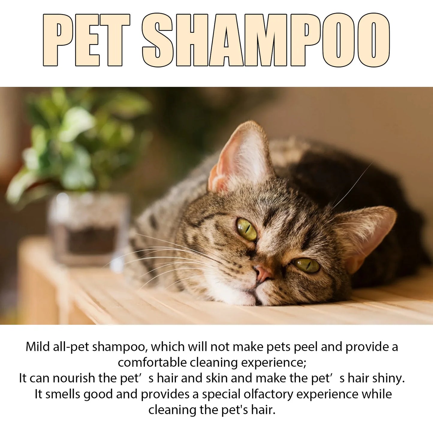 PawSpa Shampoo –– Spa-Quality Care at Home