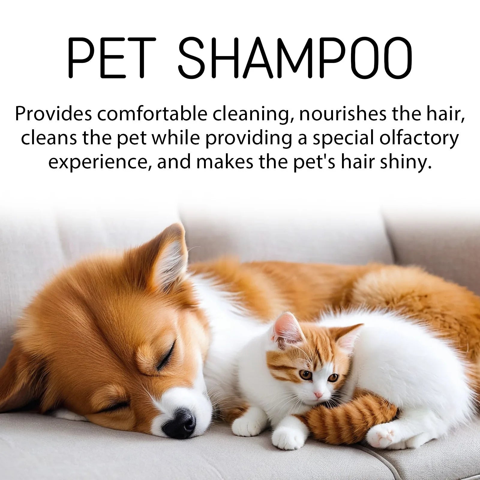 PawSpa Shampoo –– Spa-Quality Care at Home